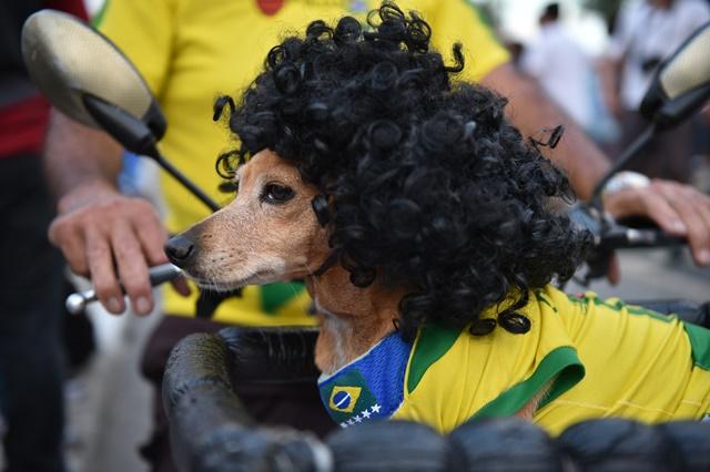Can the underdog have their day in Brazil tonight?